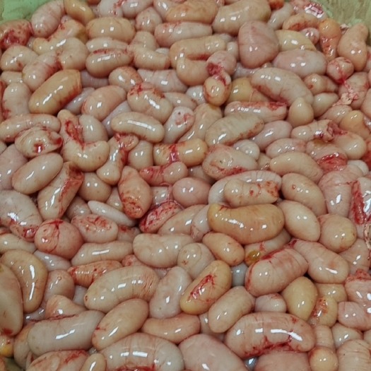 贵港长期新鲜鸡腰子，，2号.一千多斤新鲜