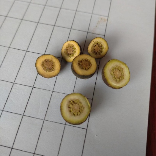 金堂县1.2以下枳实，落地果，枳壳，其他规格也有