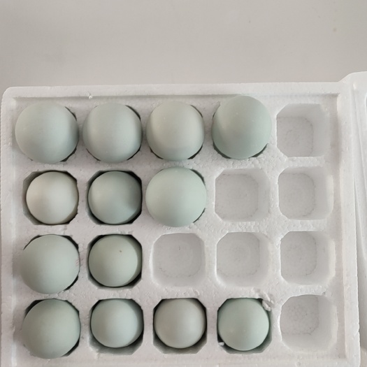 莱西市海鸭蛋滋香河个个流油