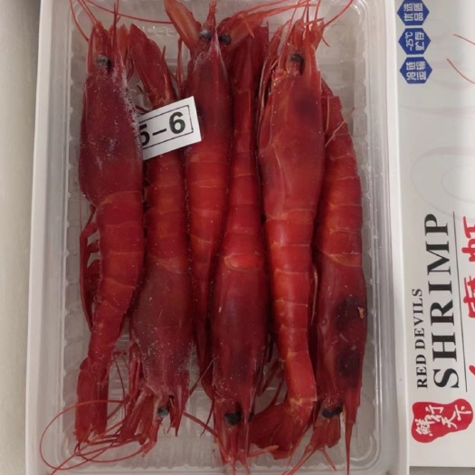 上海红魔虾