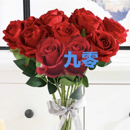 《九零》玫瑰花苗四季开花大花阳台庭院盆栽花卉月季扦插苗