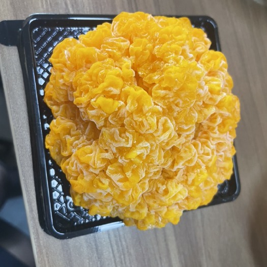 东至县金耳