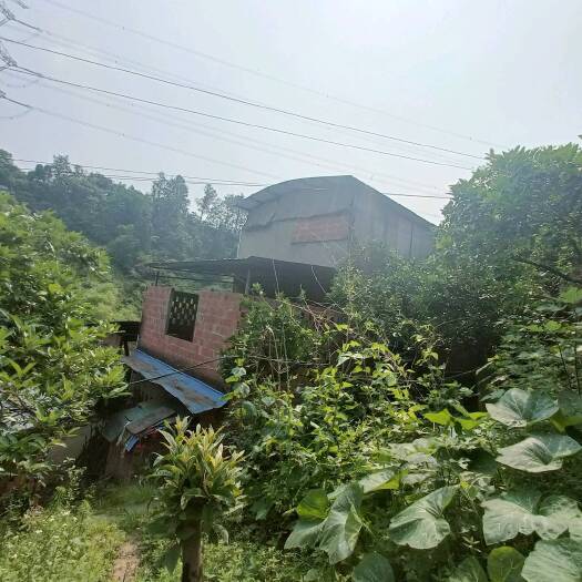 重庆市北碚复兴单家独院180平米