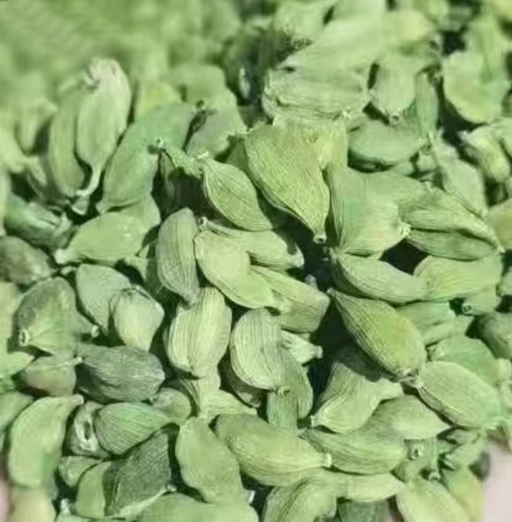 绿豆蔻香料用小豆蔻西餐调料新年干货青豆蔻包邮批发