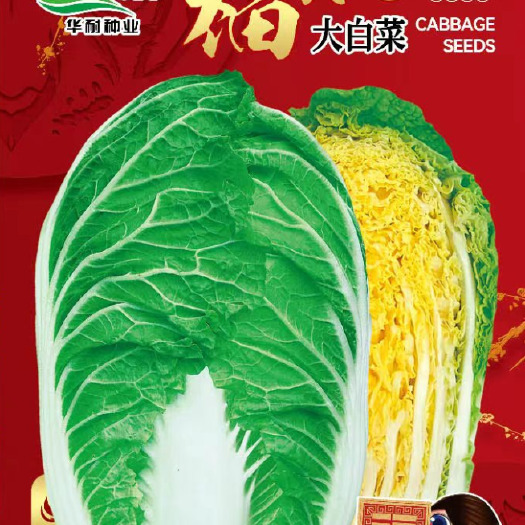 酒泉【不发芽包赔】大白菜种籽蔬菜种子耐热抗病高产种子春夏秋四季播