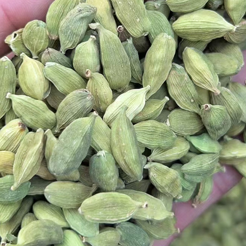 绿豆蔻香料用小豆蔻西餐调料新年干货青豆蔻包邮批发