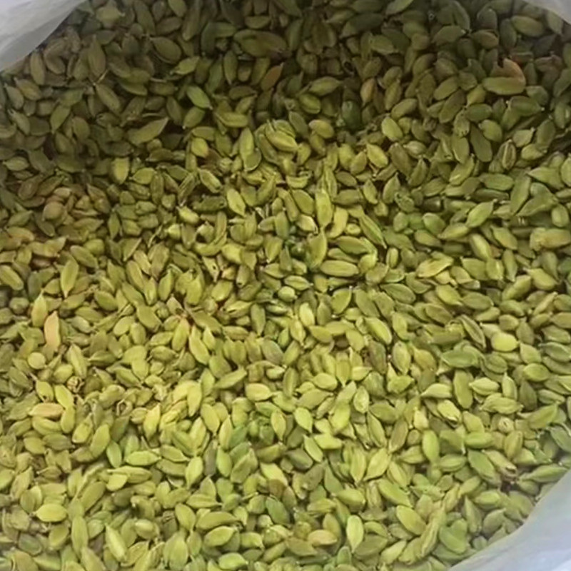 绿豆蔻香料用小豆蔻西餐调料新年干货青豆蔻包邮批发