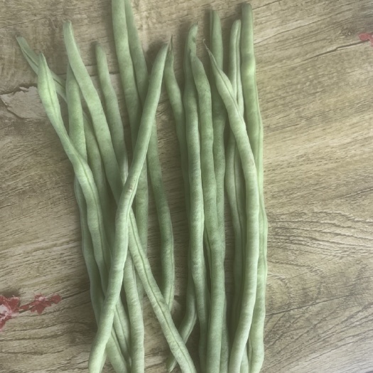 各种豆角上市中需要￼的电话联系