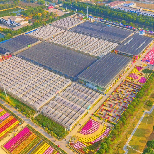 寿光市山东潍坊 智能玻璃温室大棚 包设计包售后