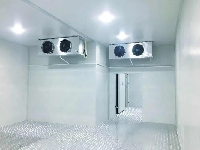 东莞市商用冷冻库速冻库蔬菜冷藏库小型鲜花水果肉类冷库设计及安装