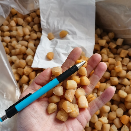 大连淡干干贝瑶柱新鲜鲜甜可口煲汤煲粥