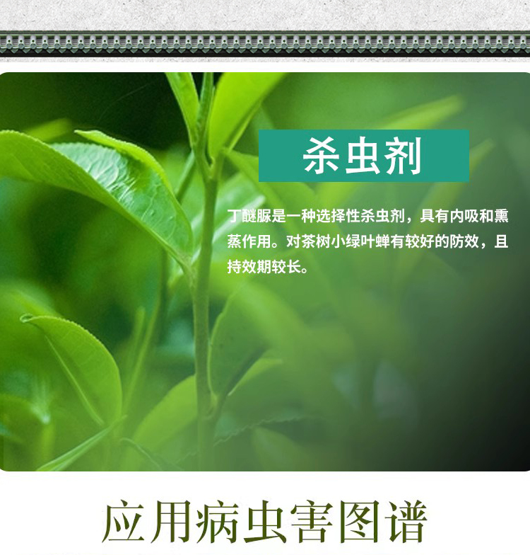 25%丁醚脲丁醚尿拓管茶小绿叶蝉茶尺蠖茶树茶叶专用杀虫剂农药