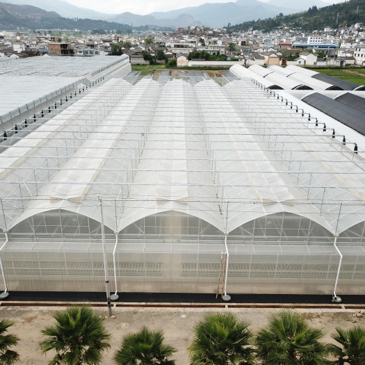 寿光市薄膜连栋温室厂家 直供 包设计包安装包售后