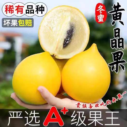 漳浦县冬蜜黄晶果5斤新鲜牛奶果罕见水果黄金大果孕妇整箱顺丰包邮