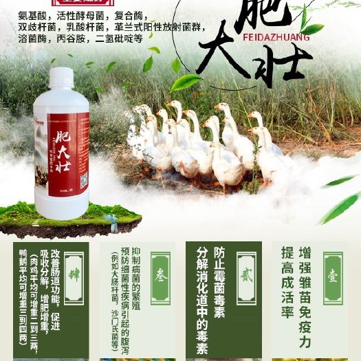 潍坊肥大壮 鸡鸭鹅催肥增重 代替多维 鱼肝油 降低料肉比