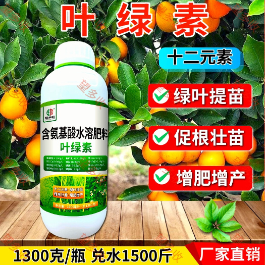 潍坊叶绿素提高光合作用补充12元素提苗壮棵叶绿叶厚