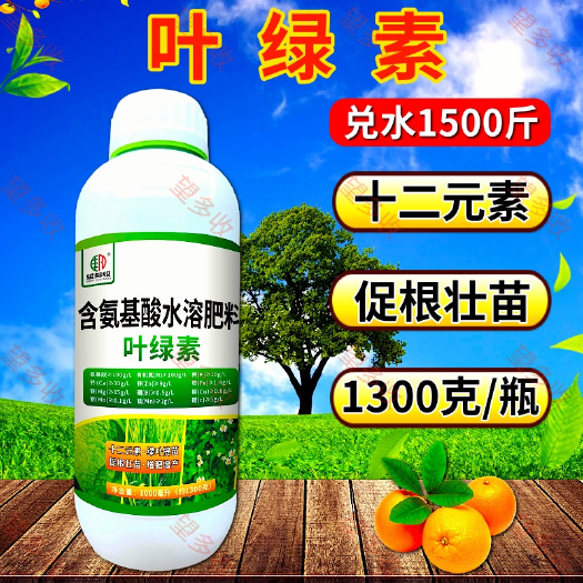 潍坊叶绿素氨基酸叶面肥壮棵提苗增厚增绿一喷绿水溶肥