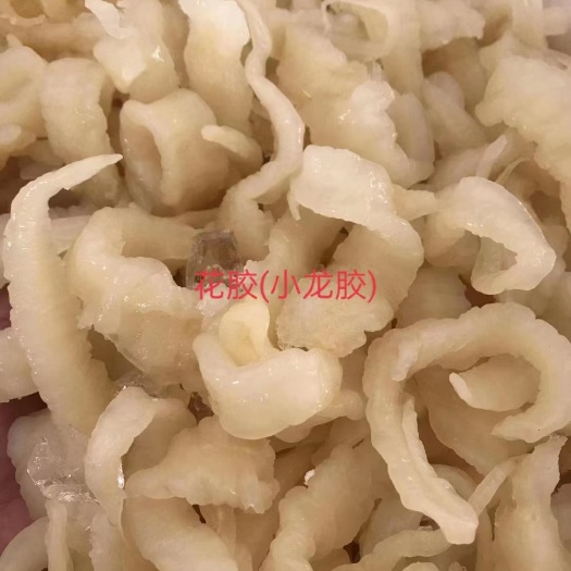 晋江市花胶（小龙胶）