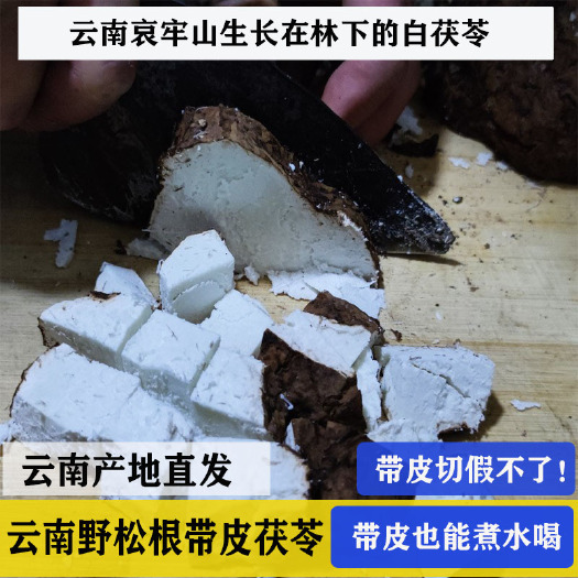 双柏县白茯苓带皮生切晒干  带皮茯苓块 松根茯苓500g起包邮