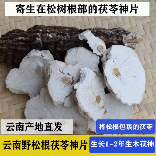 双柏县茯苓神片2年生 带松根的茯苓 生切晒干500g