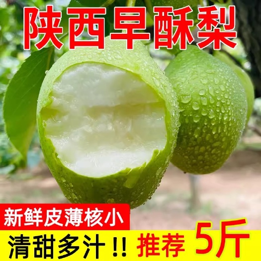 西安陕西早酥梨当季新鲜水果香雪翠冠梨青皮脆甜玉梨早熟梨子产地直发