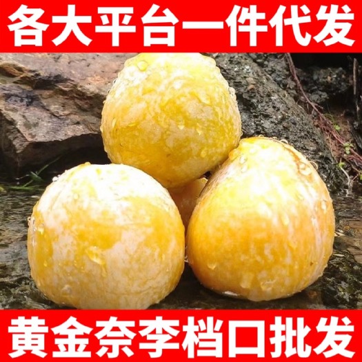 湖南汝城文明黄金奈李支持电商微商团购一件代发，各大市场档口批