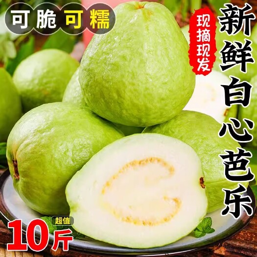 漳浦县福建软心番石榴白心5斤新鲜水果软糯香甜奶油翡翠芭乐果