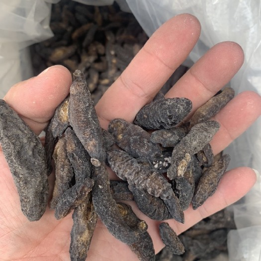 南美参b货