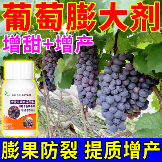 栾川县葡萄增甜着色膨果素 快速膨果着色均匀 增产防裂 专用水溶肥