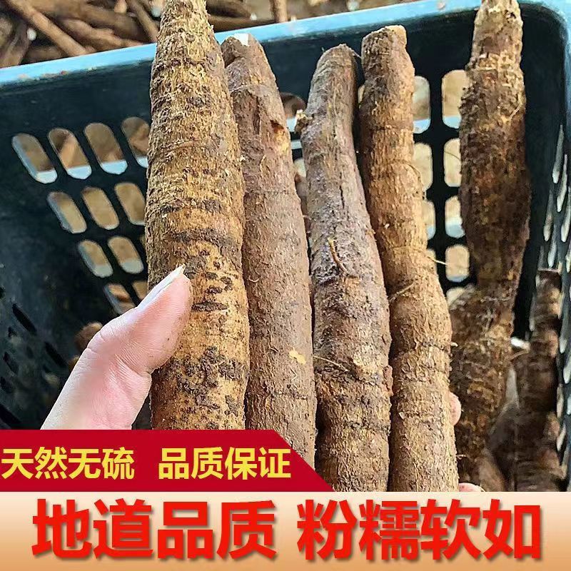 正品牛大力1斤煲汤泡酒材料金钟根牛大力汤料牛大力