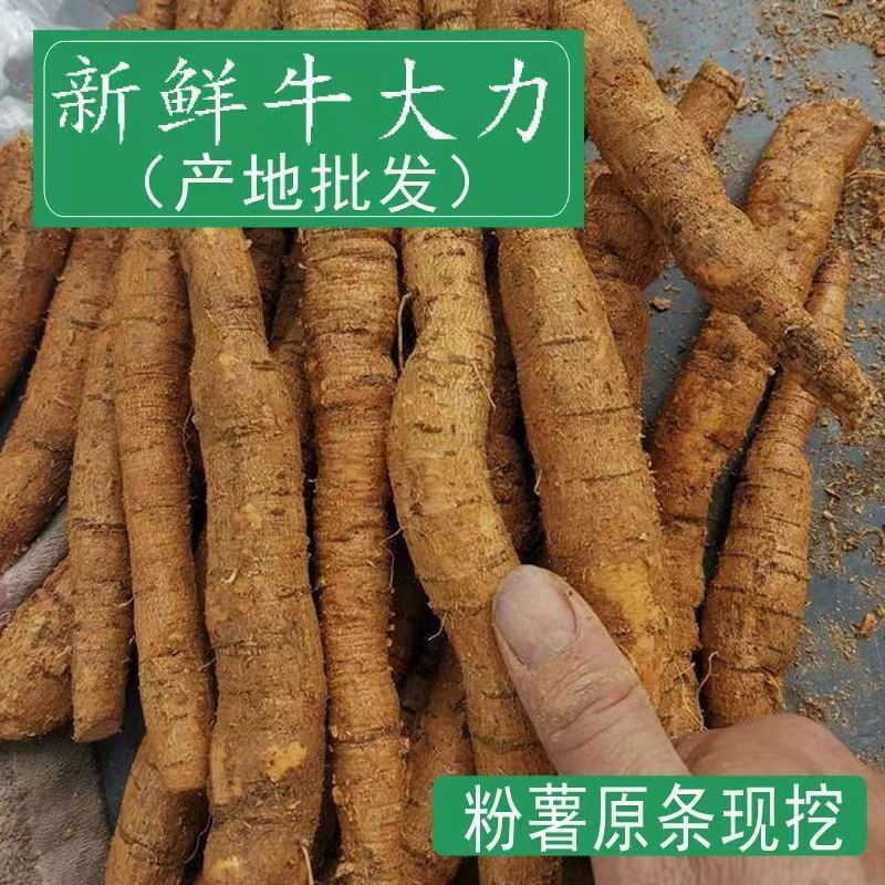 正品牛大力1斤煲汤泡酒材料金钟根牛大力汤料牛大力