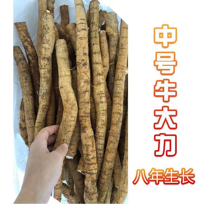 正品牛大力1斤煲汤泡酒材料金钟根牛大力汤料牛大力