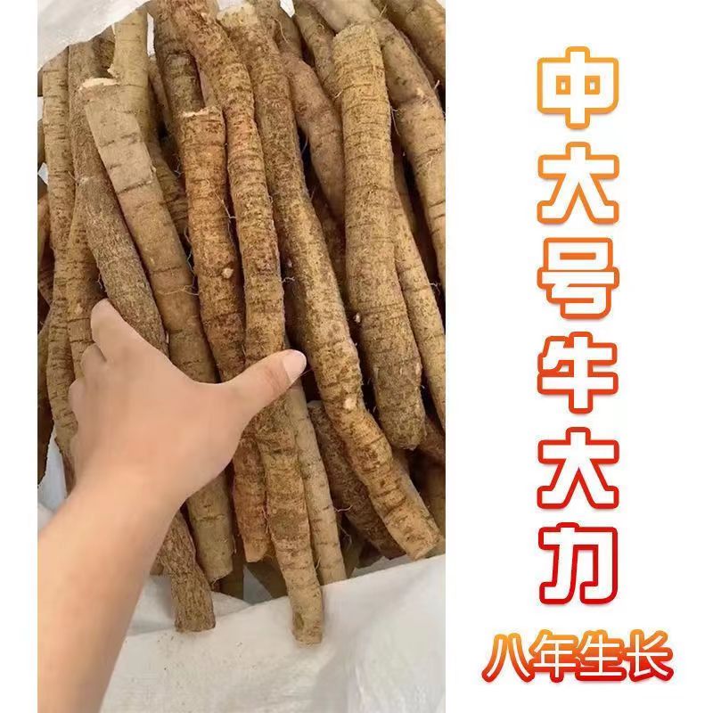 正品牛大力1斤煲汤泡酒材料金钟根牛大力汤料牛大力