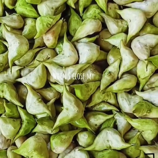 泰州菱角上市了