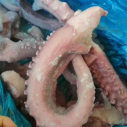 北海脆口章鱼足 大章鱼须 经济实惠款