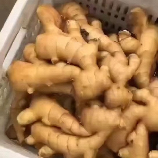 平度市山东老姜，黄姜，老姜片，芋头，红薯，