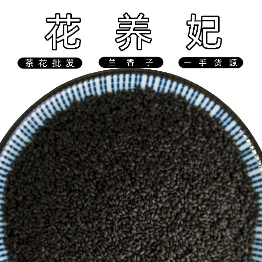 安国市兰香子 罗勒籽 明列子 500g 厂家批发新货直供散装干净罗