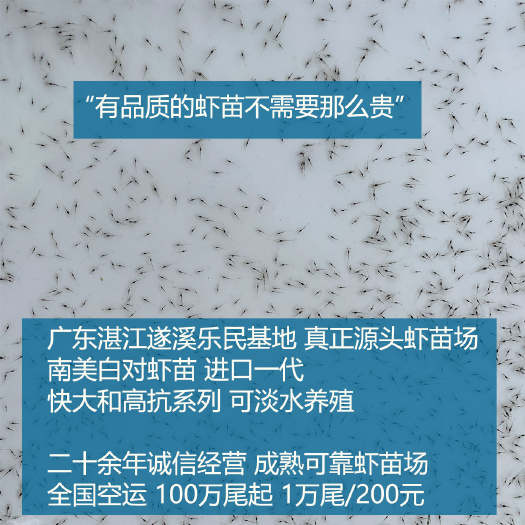 南美白对虾苗快大系列