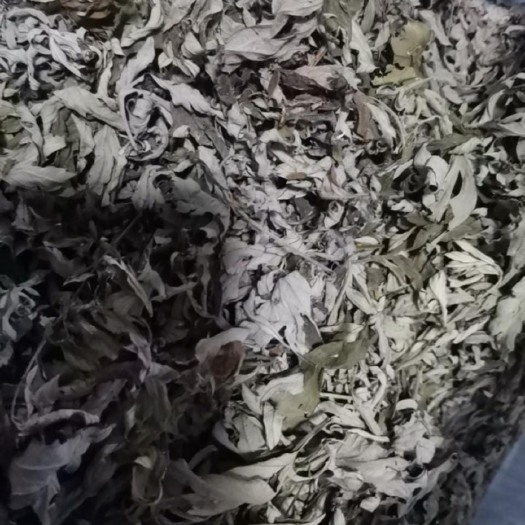 蕲春县蕲春干艾叶
