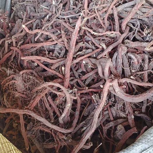 正宁县丹参干货36吨有需要得老板和我联系