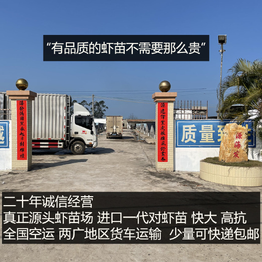 长沙南美白对虾苗SIS系列