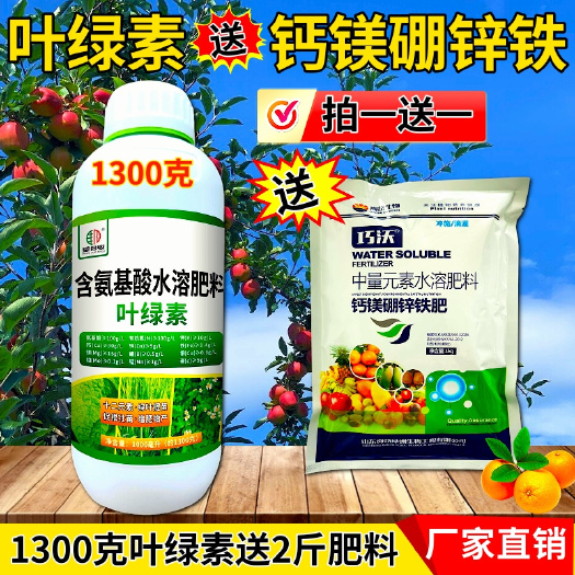 潍坊叶绿素叶片增绿增厚提苗壮棵提高酶活性提高光合作用