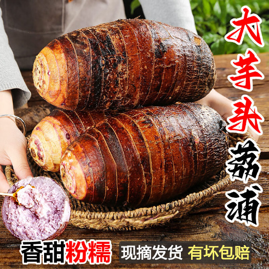 北流市正宗广西 荔浦芋头 新鲜现挖 槟榔芋 毛芋 一件代发
