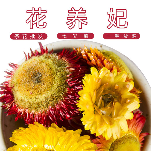 安国市七彩菊500g 新货藏彩菊花干花散装花草茶装饰工艺干花