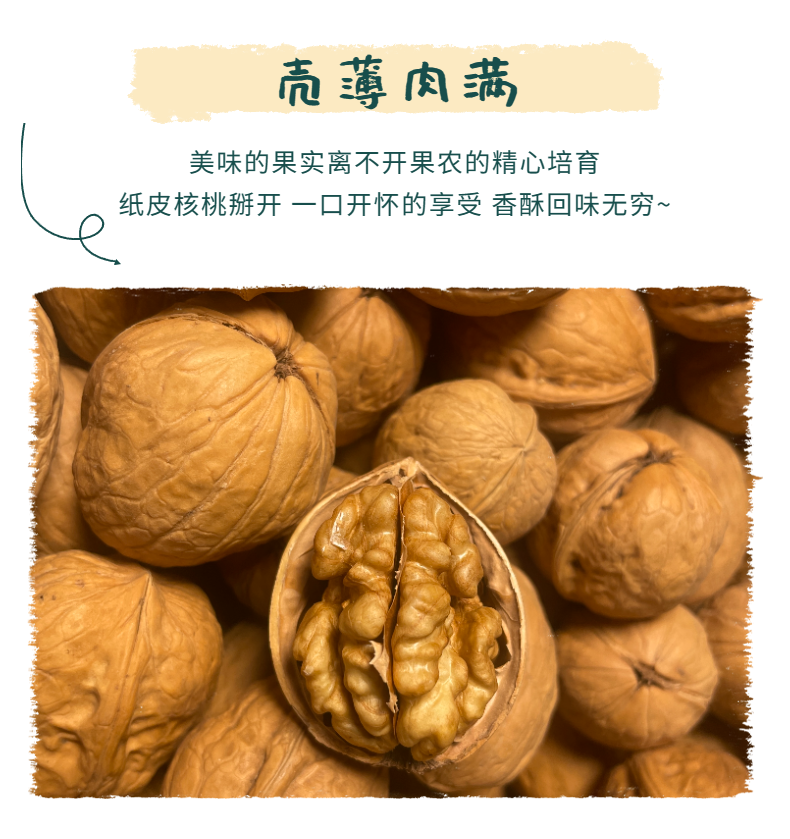 新疆185纸皮核桃非薄皮核桃新疆特产坚果干货年货