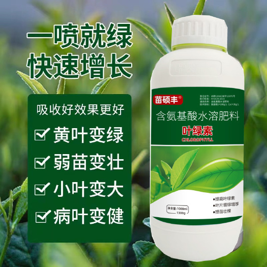 叶绿素 提苗绿叶 壮苗补充营养 浓缩通用型叶面肥