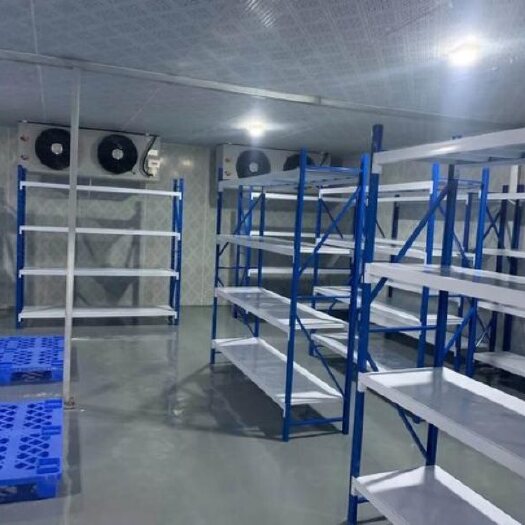 东莞市水果蔬菜保鲜冷库安装 冷藏库工程设计施工上门服务