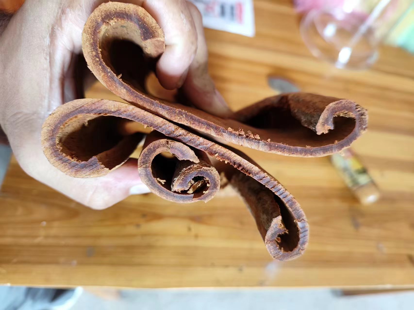 供应精品老年油桂