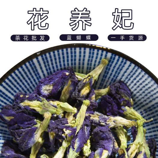 安国市蓝蝴蝶 蝶豆花 蓝蝴蝶花 蝶豆花茶 直供一手货源量大从优