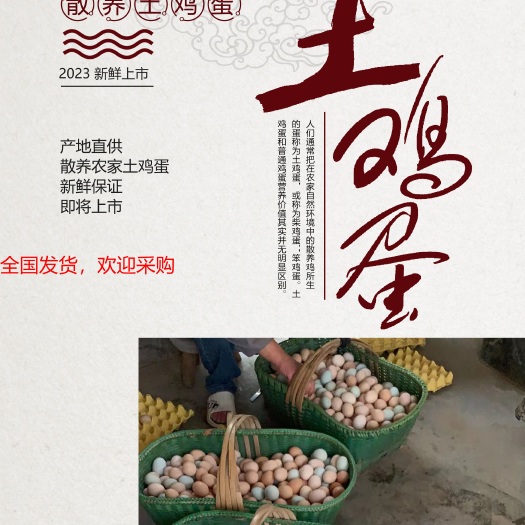 潜江市散养开窝蛋，2023即将开售